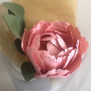 Meet your Posher, LoveNL